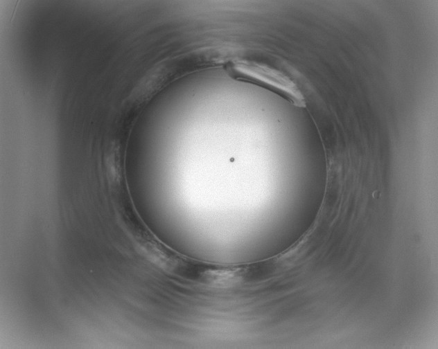 X0000071940170200607212210