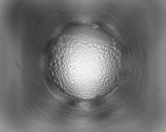 X0000071940171200607212210