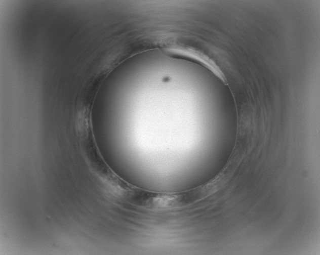 X0000071940172200607212210