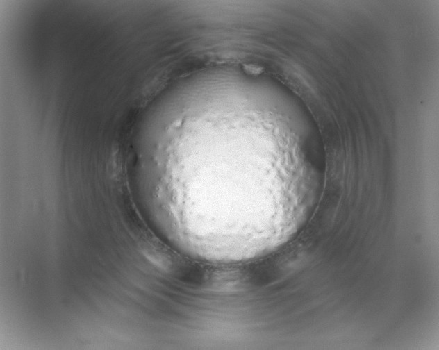 X0000071940173200607212210