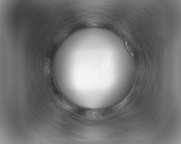 X0000071940174200607212210