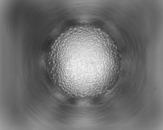 X0000071940175200607212210