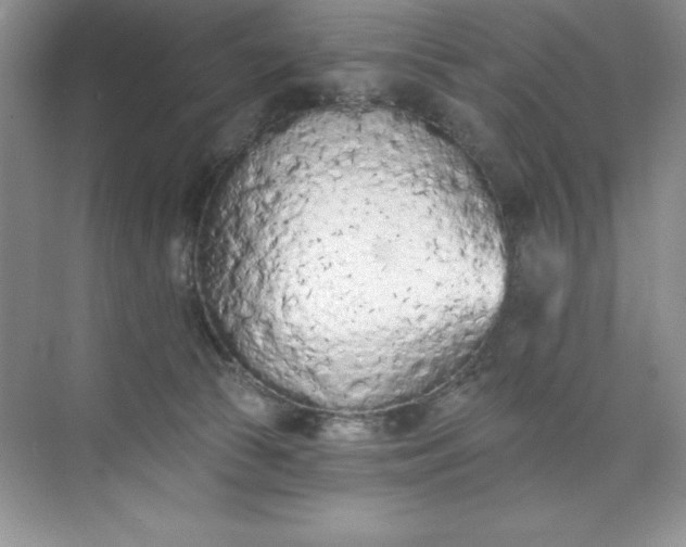 X0000071940177200607212210