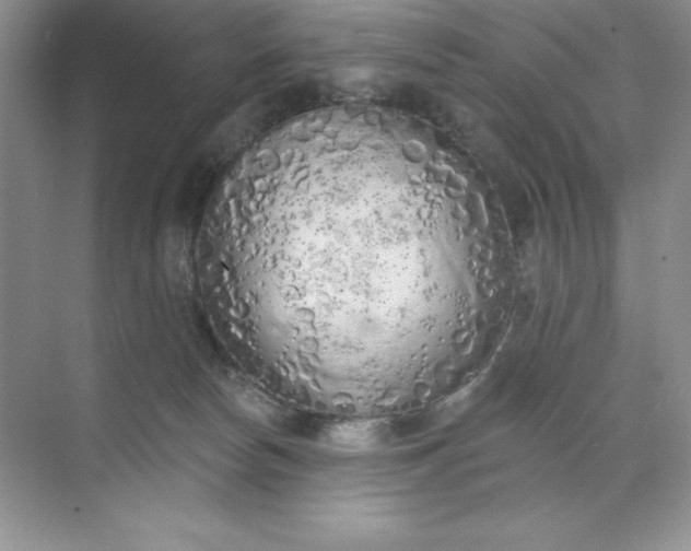 X0000071940178200607212210