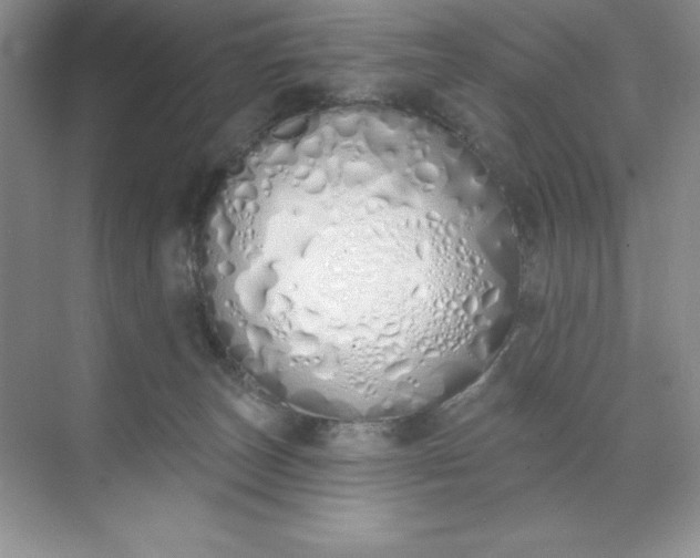 X0000071940179200607212210