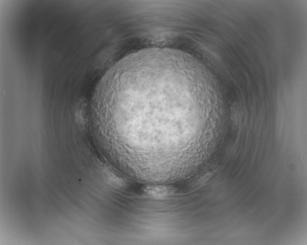 X0000071940181200607212210