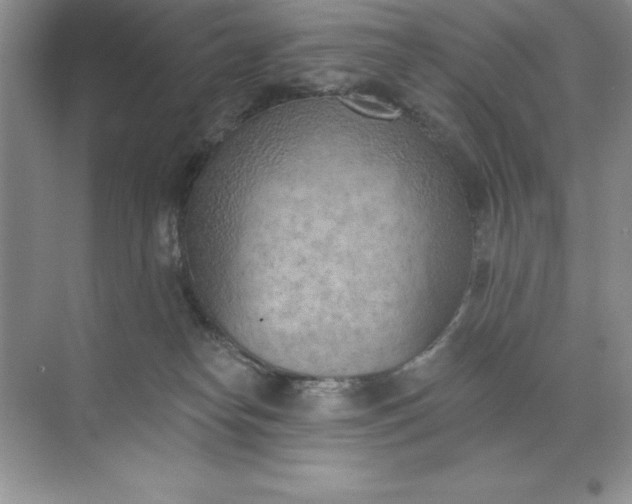 X0000071940182200607212210