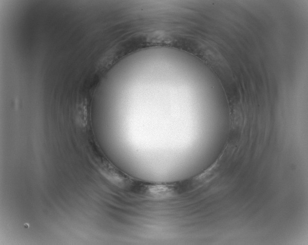 X0000071940183200607212210