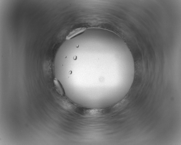 X0000071940184200607212210