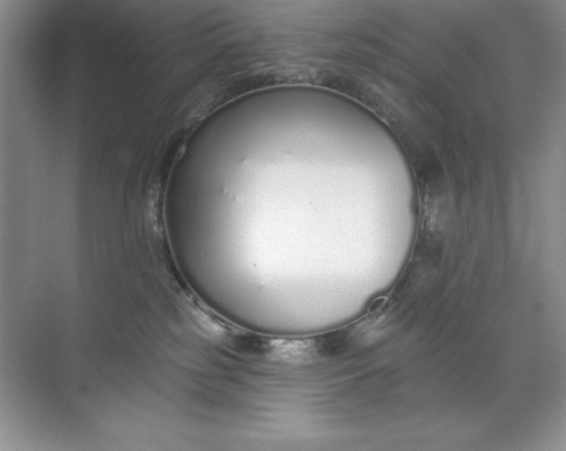 X0000071940185200607212210