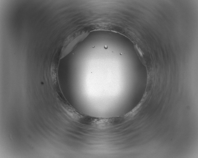 X0000071940186200607212210