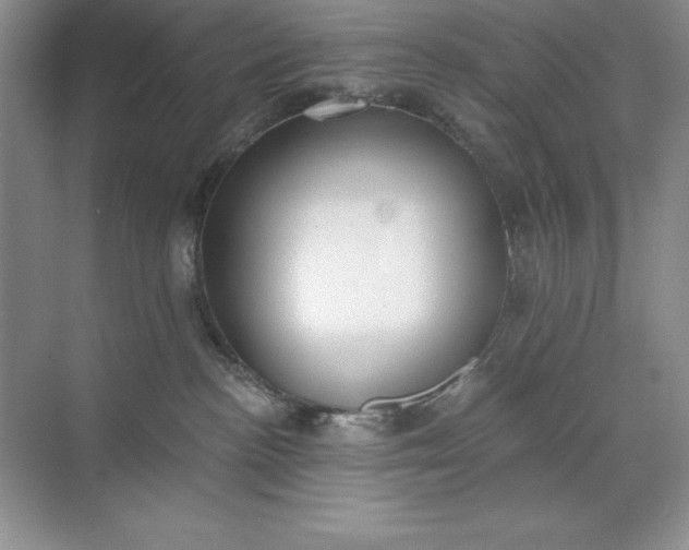 X0000071940188200607212210