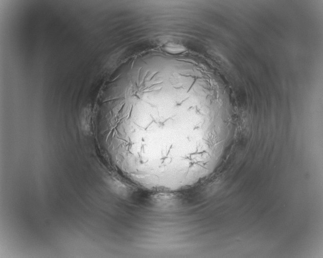 X0000071940189200607212210