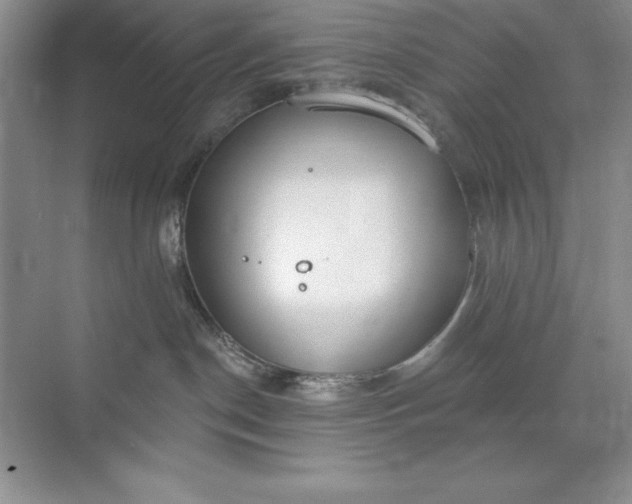 X0000071940190200607212210