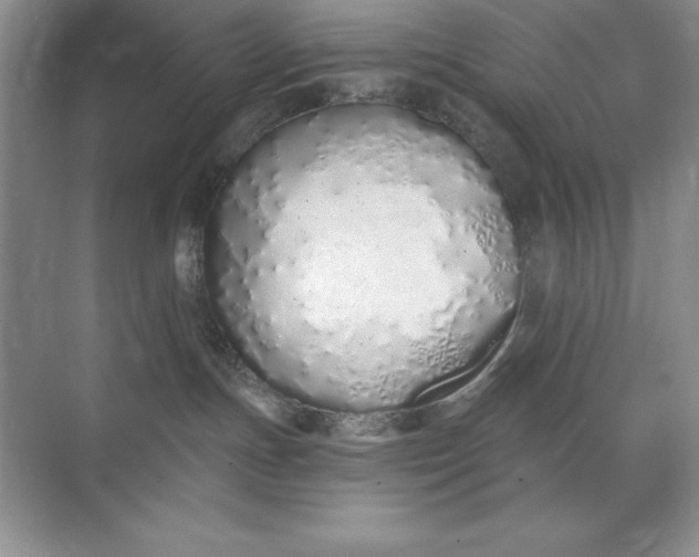 X0000071940191200607212210