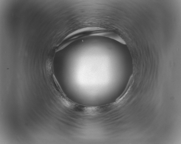 X0000071940192200607212210