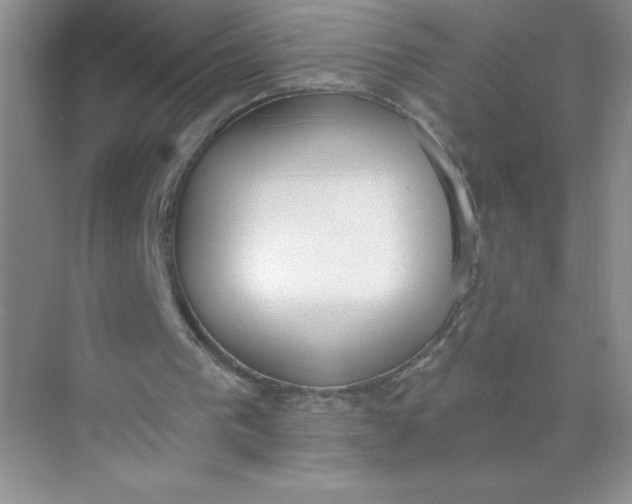 X0000071940193200607212209