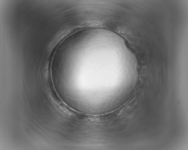 X0000071940194200607212209