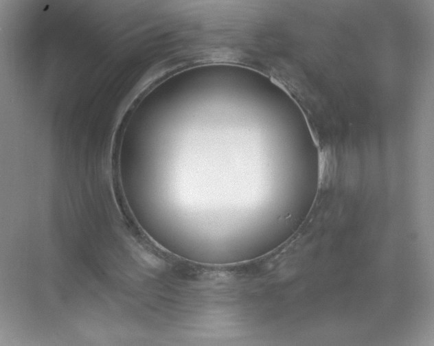 X0000071940195200607212209