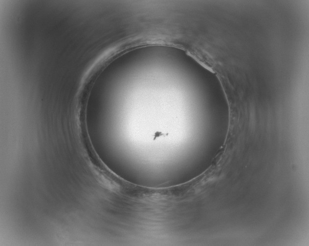 X0000071940197200607212209