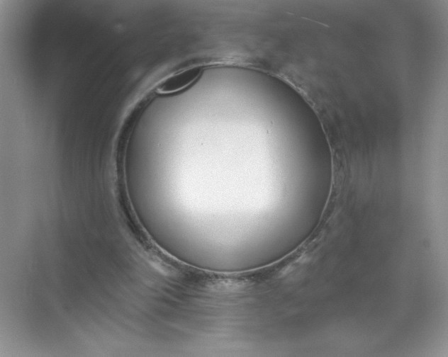 X0000071940198200607212209