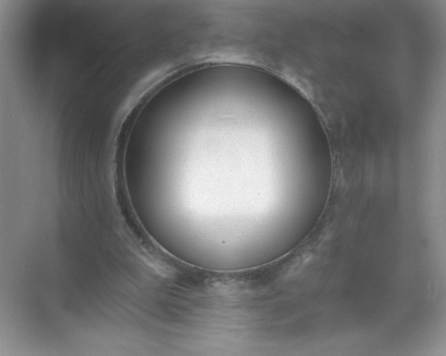 X0000071940199200607212209