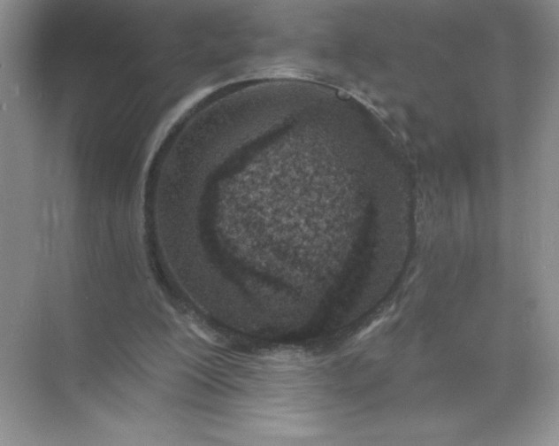 X0000071940200200607212209