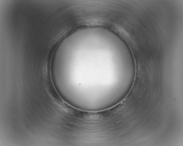 X0000071940202200607212209