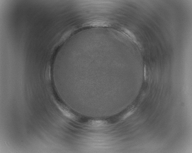 X0000071940205200607212209