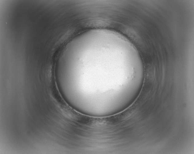 X0000071940206200607212209