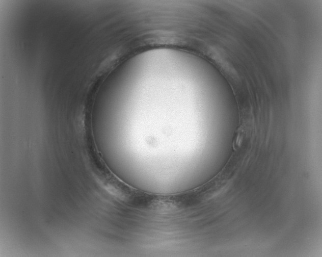 X0000071940207200607212209