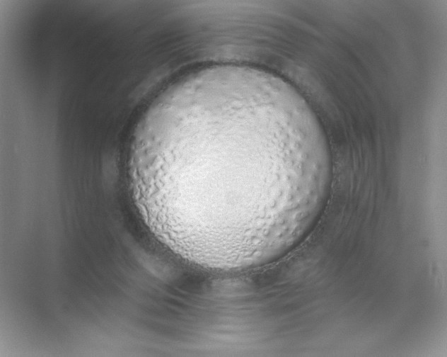 X0000071940208200607212209