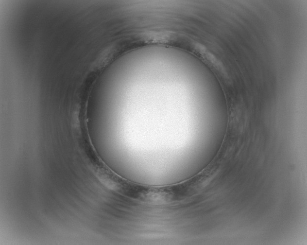 X0000071940209200607212209