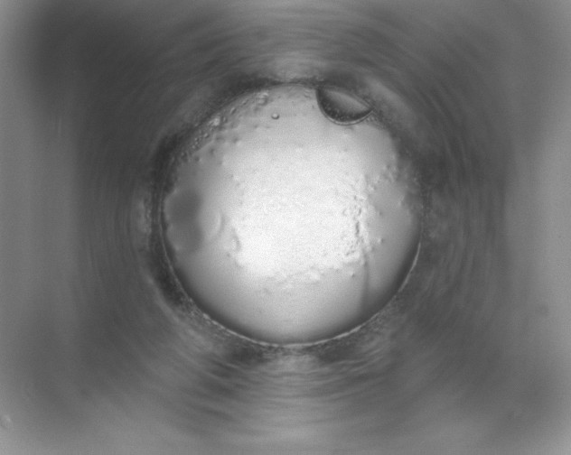 X0000071940210200607212209