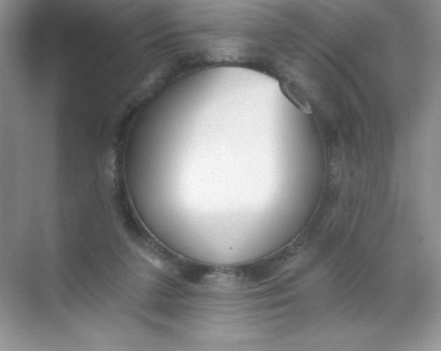 X0000071940211200607212209