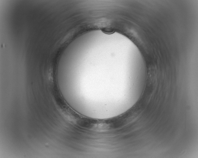 X0000071940212200607212209