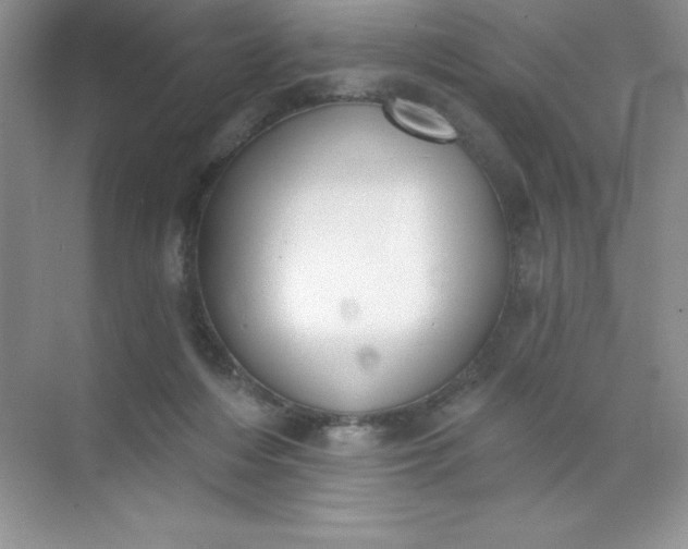 X0000071940216200607212209