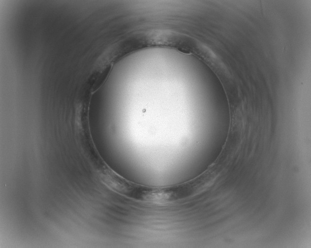 X0000071940217200607212209