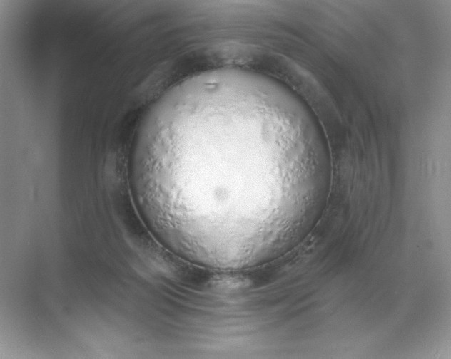 X0000071940218200607212209