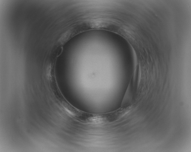 X0000071940219200607212209