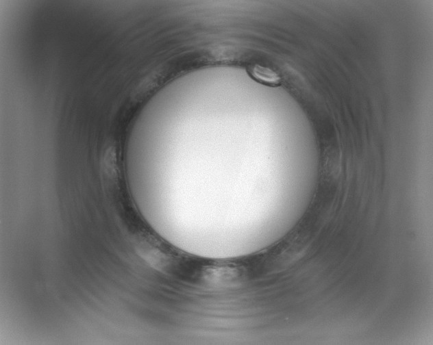 X0000071940220200607212209