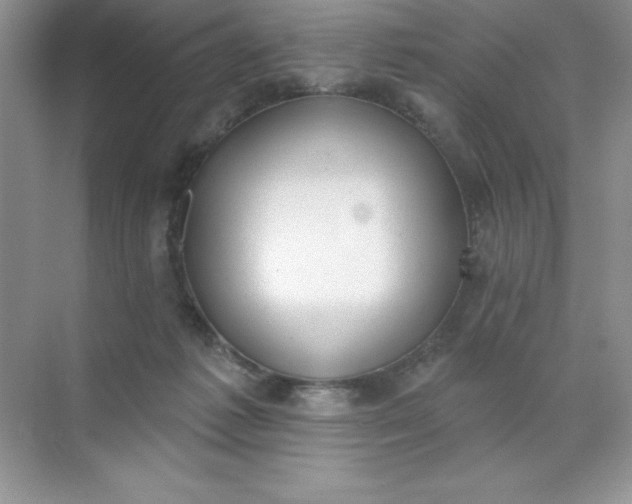 X0000071940221200607212209