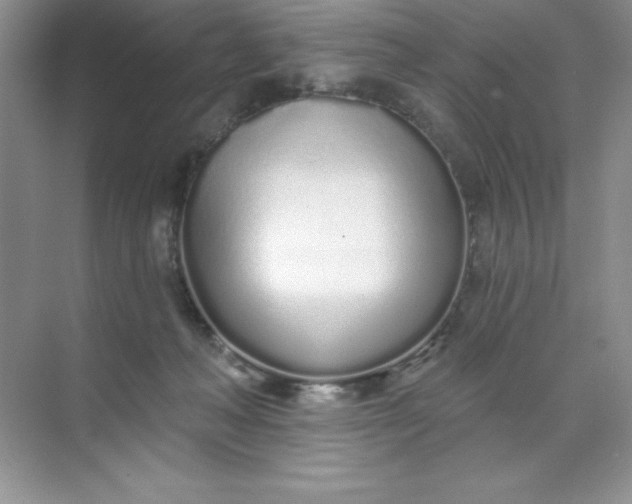 X0000071940222200607212209