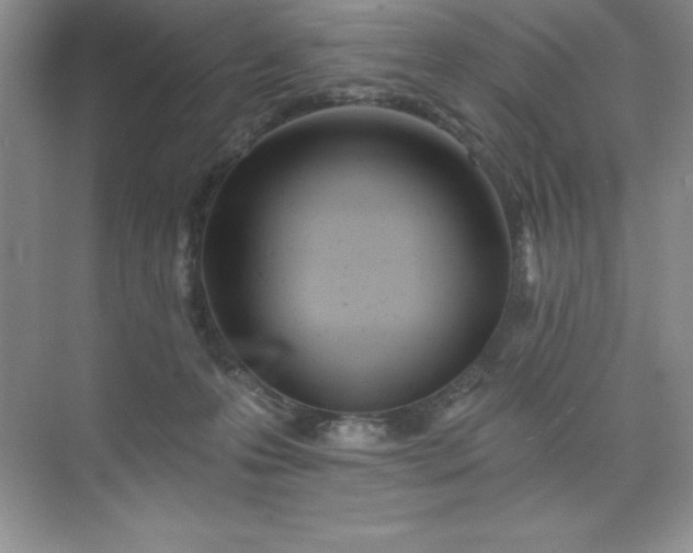 X0000071940223200607212209