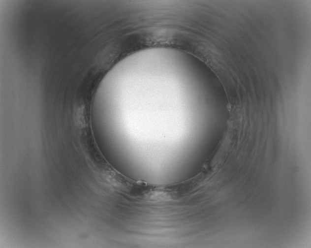 X0000071940224200607212209