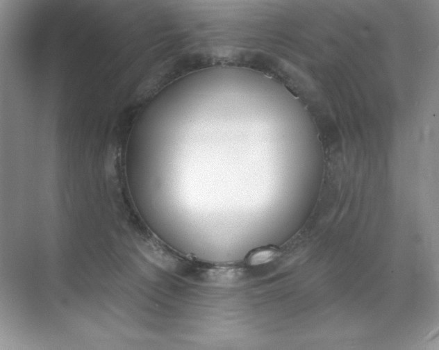 X0000071940225200607212209