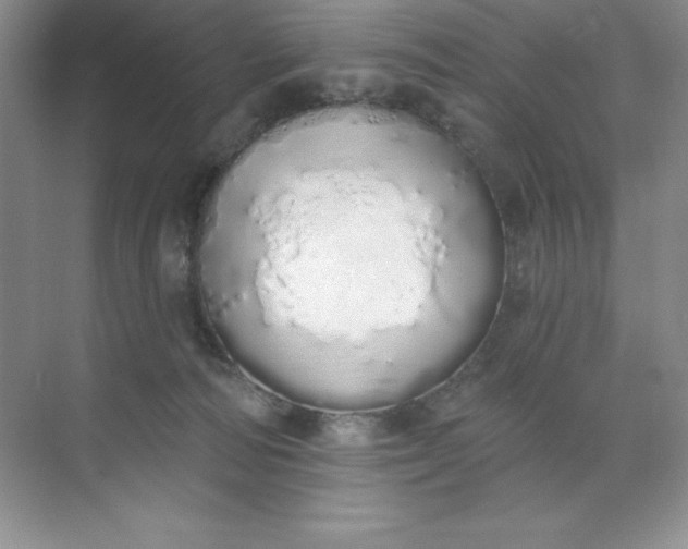 X0000071940226200607212209