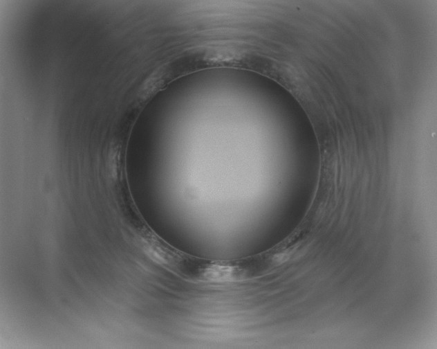 X0000071940227200607212209