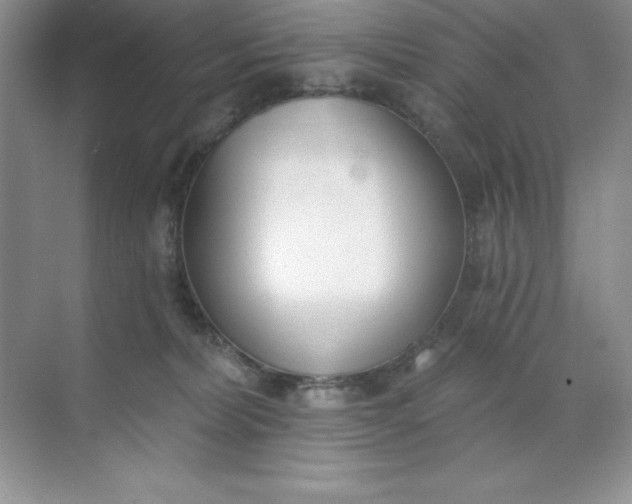 X0000071940228200607212209