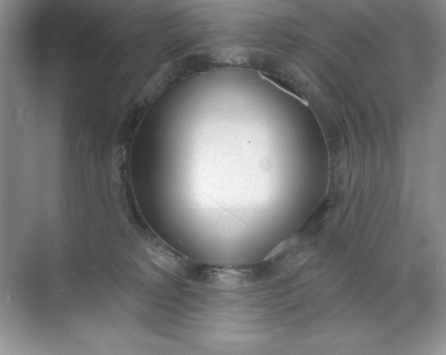 X0000071940229200607212209